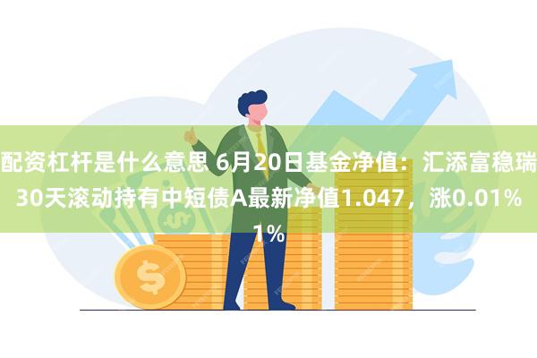 配资杠杆是什么意思 6月20日基金净值：汇添富稳瑞30天滚动持有中短债A最新净值1.047，涨0.01%