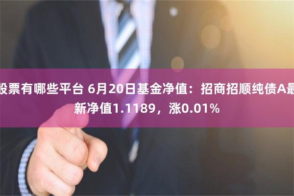 股票有哪些平台 6月20日基金净值：招商招顺纯债A最新净