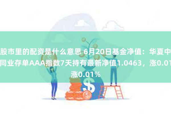 股市里的配资是什么意思 6月20日基金净值：华夏中证同业存单AAA指数7天持有最新净值1.0463，涨0.01%