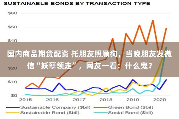 国内商品期货配资 托朋友照顾狗，当晚朋友发微信“妖孽领走”，网友一看：什么鬼？