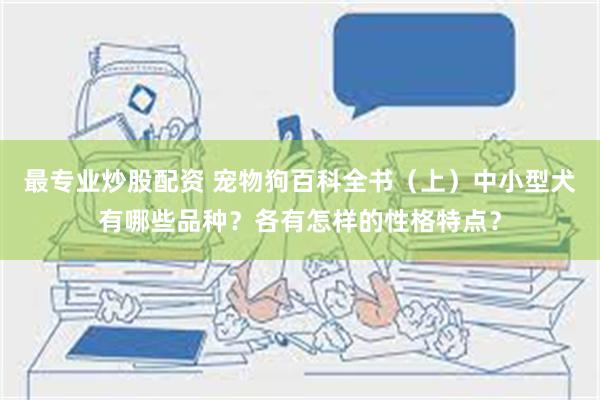 最专业炒股配资 宠物狗百科全书（上）中小型犬有哪些品种？各有怎样的性格特点？