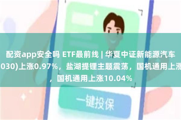 配资app安全吗 ETF最前线 | 华夏中证新能源汽车ETF(515030)上涨0.97%，盐湖提锂主题震荡，国机通用上涨10.04%