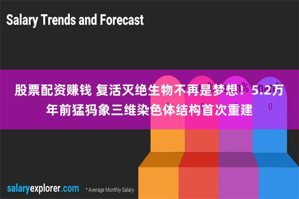 股票配资赚钱 复活灭绝生物不再是梦想！5.2万年前猛犸象三维染色体结构首次重建