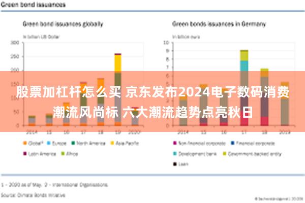 股票加杠杆怎么买 京东发布2024电子数码消费潮流风尚标 六大潮流趋势点亮秋日