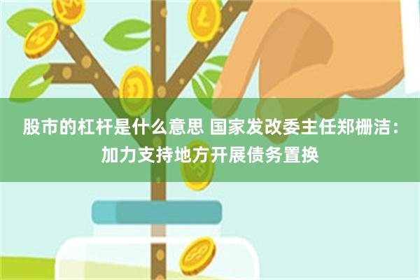 股市的杠杆是什么意思 国家发改委主任郑栅洁：加力支持地方开展债务置换