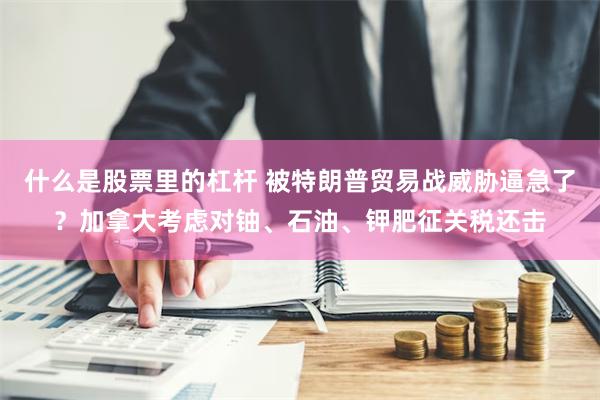 什么是股票里的杠杆 被特朗普贸易战威胁逼急了？加拿大考虑对铀