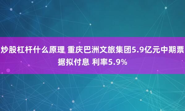 炒股杠杆什么原理 重庆巴洲文旅集团5.9亿元中期票据拟付息 利率5.9%