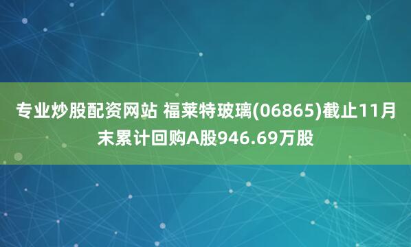 专业炒股配资网站 福莱特玻璃(06865)截止11月末累计回购A股946.69万股