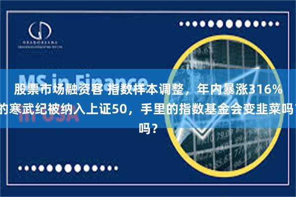 股票市场融资客 指数样本调整，年内暴涨316%的寒武纪被纳入上证50，手里的指数基金会变韭菜吗？