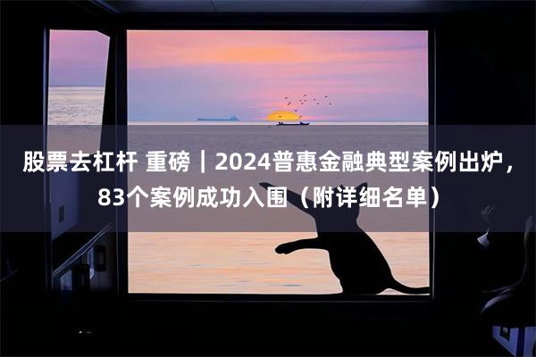 股票去杠杆 重磅｜2024普惠金融典型案例出炉，83个案例成功入围（附详细名单）