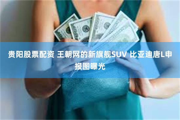 贵阳股票配资 王朝网的新旗舰SUV 比亚迪唐L申报图曝光