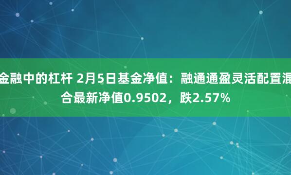 金融中的杠杆 2月5日基金净值：融通通盈灵活配置混合最新净值0.9502，跌2.57%