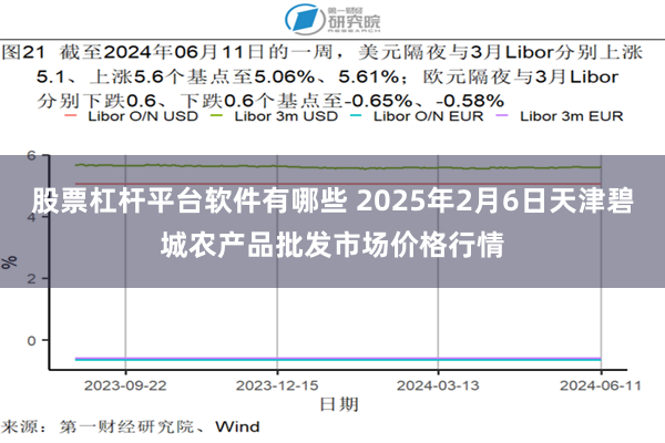 股票杠杆平台软件有哪些 2025年2月6日天津碧城农产品批发市场价格行情