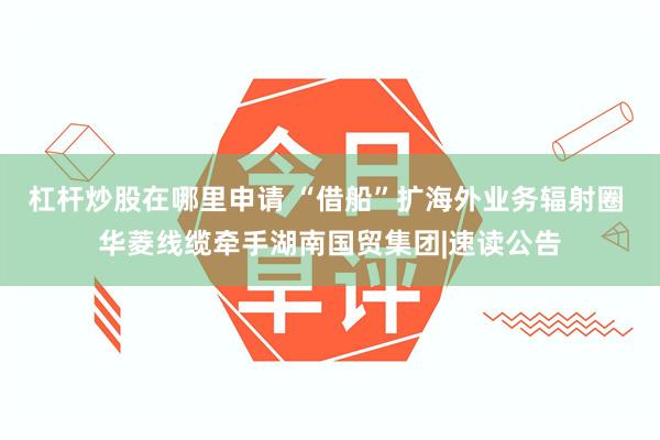 杠杆炒股在哪里申请 “借船”扩海外业务辐射圈 华菱线缆牵手湖南国贸集团|速读公告