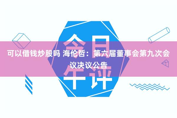 可以借钱炒股吗 海伦哲：第六届董事会第九次会议决议公告