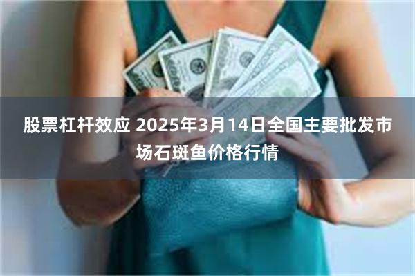 股票杠杆效应 2025年3月14日全国主要批发市场石斑鱼价格行情